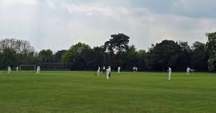 Image result for Botany Bay Cricket Club
