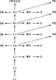 Attēlu rezultāti vaicājumam “Blepharidopterus angulatus imago”