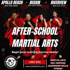 Image result for Apollo Martial Arts Academy