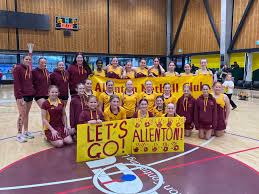 Image result for Elvington Ladies Netball Club