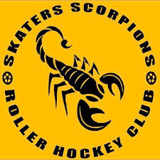Image result for Pontypool Skater Hockey Club