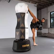 Image result for Bytomic Taekwondo Chalfonts