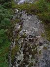 near to Caolasnacon, Highland, Great Britain. Lichen growing on exposed rock - via Daymix