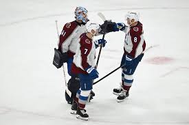 Image result for Ash Avalanche Skater Hockey Club