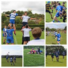 Image result for Hastings & Bexhill Rugby Football Club