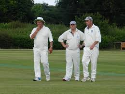 Image result for Luctonians Cricket Club