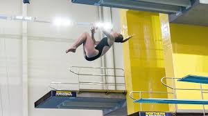 Image result for Maverick Divers