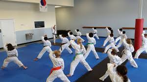 Image result for Sokudo Martial Arts Club