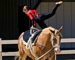 Image result for South Weylands Equestrian