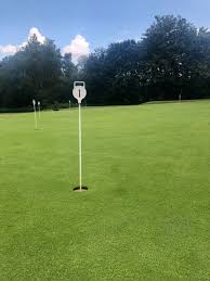 Image result for Downshire Golf Complex