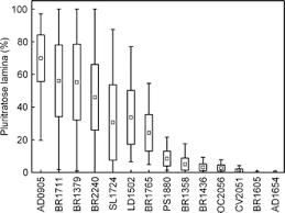 Attēlu rezultāti vaicājumam “Palustriella falcata”