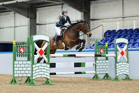 Image result for Buchan Group Riding For The Disabled