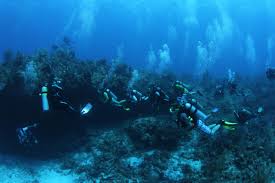 Image result for Divemaster Scuba
