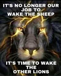 Image result for COUNTER COMBAT CLUB®