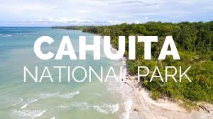 Image result for cahuita costa rica