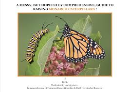 Image result for monarch caterpillar