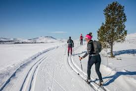 Image result for Scandinavian slope and cross country skiing