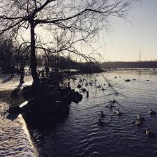 Image result for Rother Valley