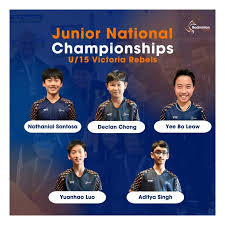 Image result for Kingswinford Ashton Jnr Badminton Club