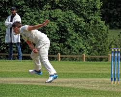 Image result for Nazeing Common Cricket Club