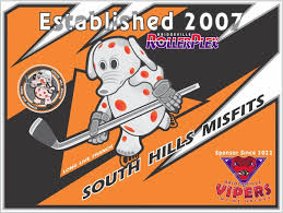 Image result for Vipers Roller Hockey Team