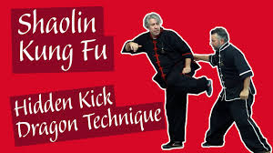 Image result for Hidden Dragon Karate-Do