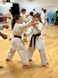 Image result for Independent Wadoryu Karate Federation