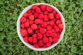 Attēlu rezultāti vaicājumam “Rubus illecebrosus fruit”