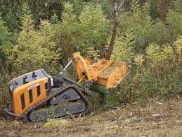 Image result for Imagini tehron