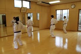 Image result for yonju dojo