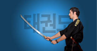 Image result for Bytomic Tae Kwon Do Windsor