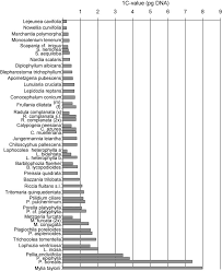 Attēlu rezultāti vaicājumam “Blepharostoma trichophyllum sporophyte”
