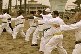 Image result for Sandokai Karate