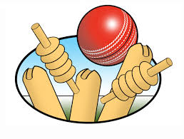 Image result for Southwell Cricket Club