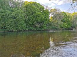 Image result for Aberdeen & District Angling Association