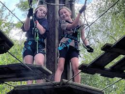 Image result for Go Ape! Alice Holt