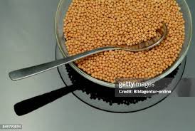 Attēlu rezultāti vaicājumam “Sinapis alba fruit”