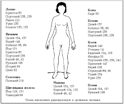Картинки по запросу ...ЃРёРЅС‚РµР·Р°С‚РѕСЂ