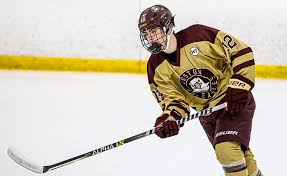 Image result for Chalfont Eagles Junior Badminton Club