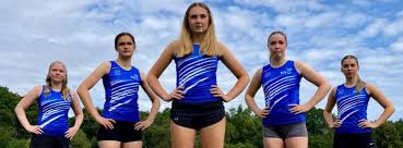 Image result for Elvington Ladies Netball Club