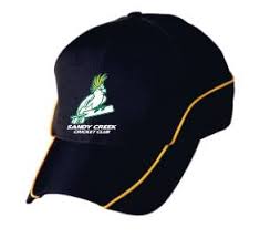 Image result for Sandy Cricket Club