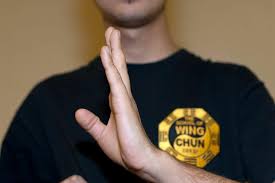 Image result for Kung Fu Wing Chun Club - University of Birmingham Sport