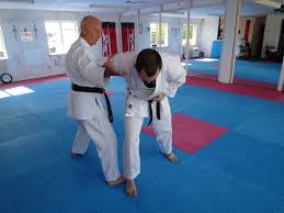 Image result for Crowtorne Shotokai