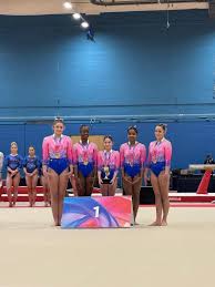 Image result for Heathrow Gymnastics Club