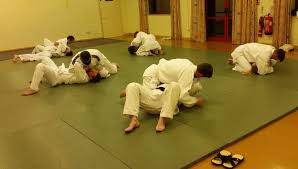 Image result for Croydon Judo Club