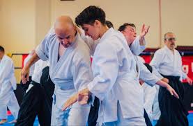 Image result for Sho Shin Kan Aikido Club