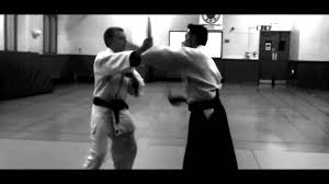 Image result for Sho Shin Kan Aikido Club