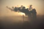 Carbon Reduction Schemes and Plausibility | The Energy Collective