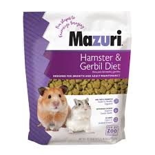 Image result for Gerbil