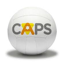 Image result for Hornets Netball Club